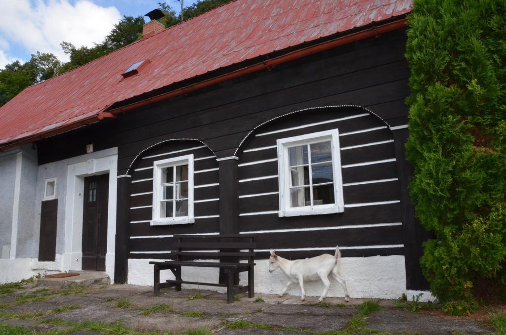 Penzion U Kozy Chribská Exterior foto