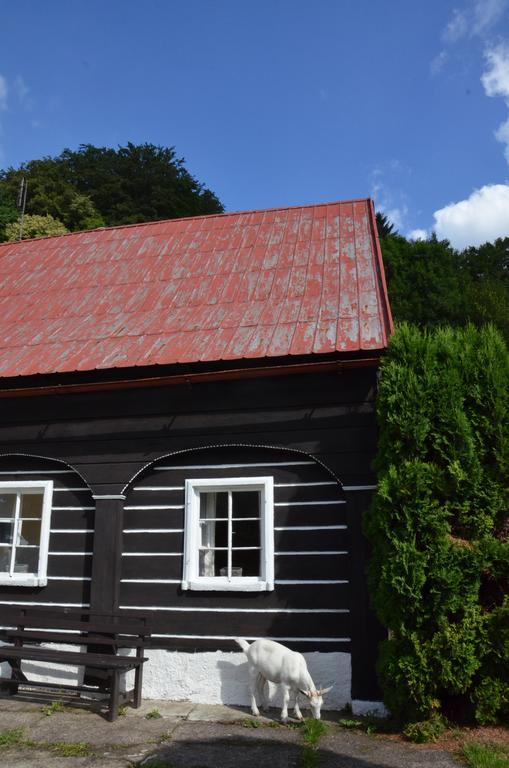 Penzion U Kozy Chribská Exterior foto