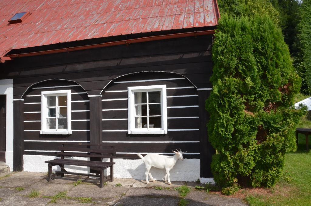 Penzion U Kozy Chribská Exterior foto