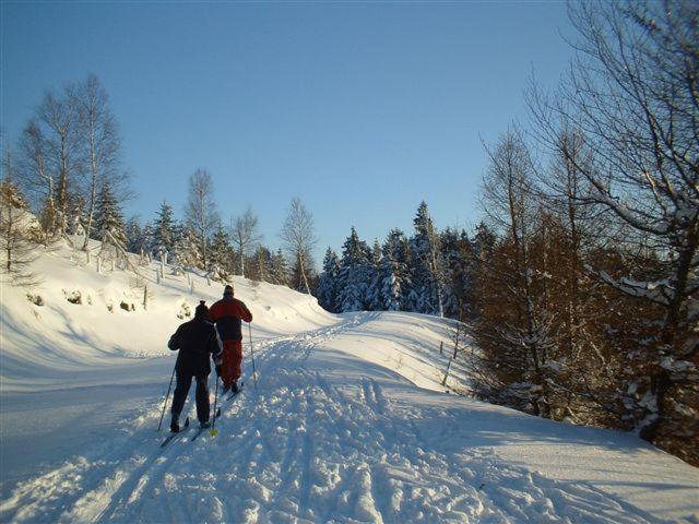Penzion U Kozy Chribská Exterior foto